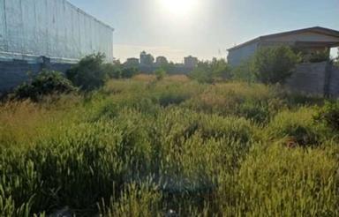 فروش زمین مسکونی 395 متر در جاده کیاکلا