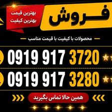 خط رند 0919 تهران