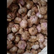 سیر محلی هزارجریب
