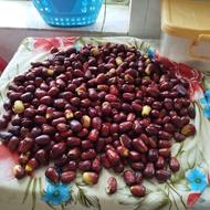 عناب انجیری تازه