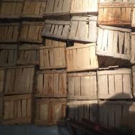 500 عدد جعبه ی چوبی پرتقال