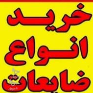 خرید ضایعات بالاترین قیمت