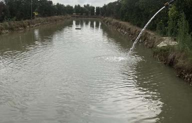 1700متر استخر ماهی گرمابی