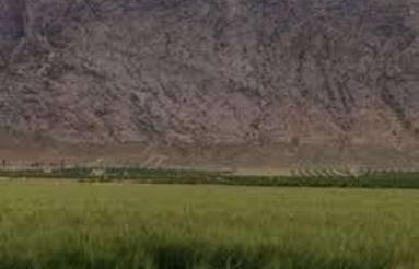 2 هکتار زمین کشاورزی دیم شیب دار