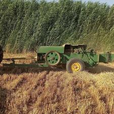 بیلر جاندیر93بسیار کم کار