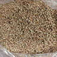 کنجد تمیز و خوش کیفیت