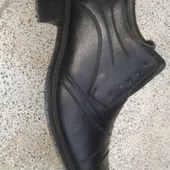 کفش مردانه چرم طبیعی