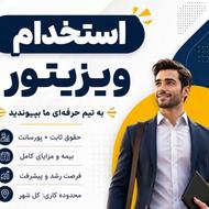استخدام ویزیتور