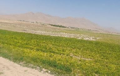 12 هکتار زمین و چاهکشاورزیفریدونشهردربستبارانی