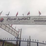 شرکت وارد کننده قهوه