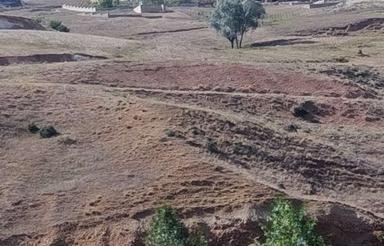 فروش 990 متر زمین مسکونی روستای پابند