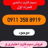 09113588919
