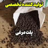 تبلتکُود تبلتمرغی