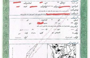 900 متر زمین باغی دور دیوار سند تکبرگ