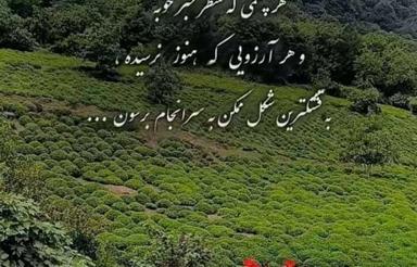 خریدار زمین تجاری فنوج