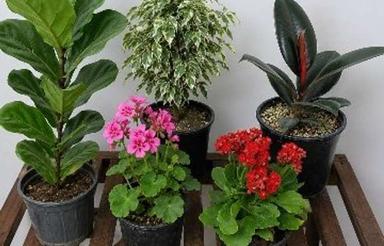 اول خیابان 28متررسالت.بالای.همکف.طبقه.اول.تک.واحدی