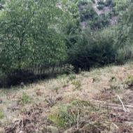فروش فووووووری زمین واقع در روستای خلرد مازندران