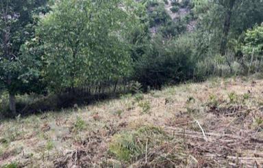 فروش فووووووری زمین واقع در روستای خلرد مازندران