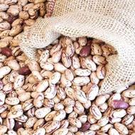 لوبیا چیتی دانمارکی درجه یک