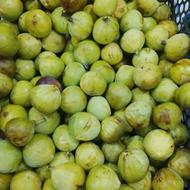 انجیر تازه محلی