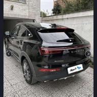 دیگنیتی مشکی داخل مارون