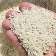 برنج طارم هاشمی درجه یک
