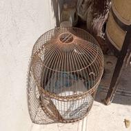 قفس بزرگ طوطی‌سانان