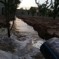 باغ چهاردیواری تبرئه دار 1050 متری