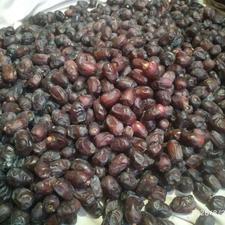 خرما و کونک تازه