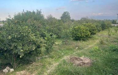 زمین 420متری ساری