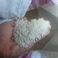 دونه طارم هاشمی اصل درجه یک به شرط امساله