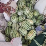 هندوانه عسل