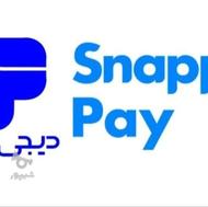 نقد کردن اسنب پی و دیجی پی و تارا اوانو