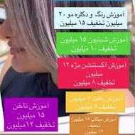 آموزش.کراتین.شینیون.میکاپ.رنگ ولایت