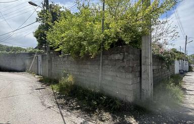 195 متری سند تک برگ