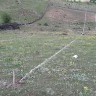 زمین مسکونی