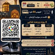 تورمسافرتی