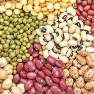 بازاریاب حضوری