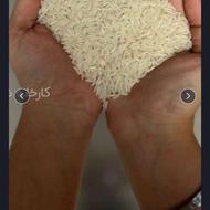 برنج طارم اصل