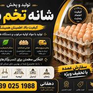 پخش مستقیم شانه تخم مرغ