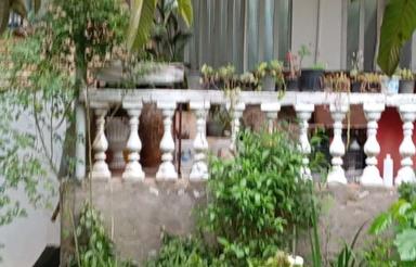 سرمایه گذاری زودبازده با خرید این زمین