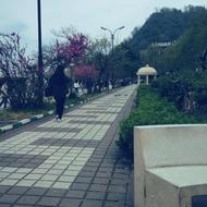 اجرای کامل زیرسازی، جدولکشی و کفسازی محوطه