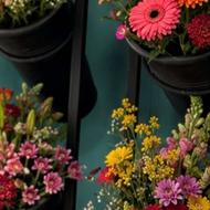 نیروی کار با سابقه کاری جهت همکاری در گلفروشی