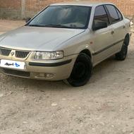 سمند معمولی 82