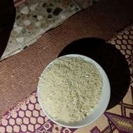 بهترین برنج طاهره فجر از خود کشاورز برنج شماره گلستان کرگان