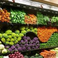 فروشنده میوه فروشی(فوری)