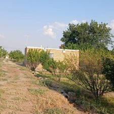 باغ درخت پسته گلابی الوچه زردالو بادام