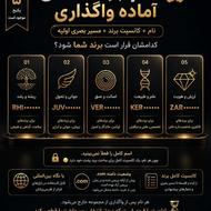 فقط 5 پکیج نام برند آماده واگذاری ،نگاه بین‌المللی + دامنه .