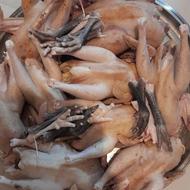 مرغ خروس محلی اصیل تازه کشتار شده
