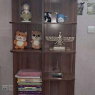 کتابخانه وویترین